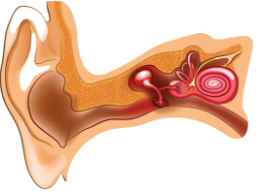 Середній отит