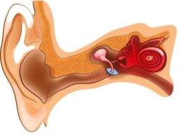 Внутрішній отит (Лабіринтит)